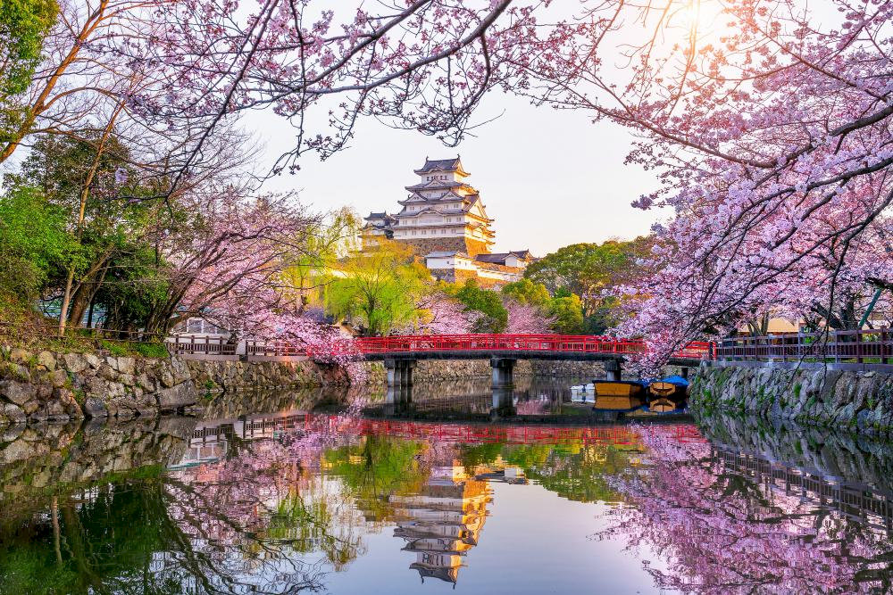 The main keep is a six-story wooden structure and one of only a handful of castle keeps in Japan that feature wing buildings, adding complexity to its appearance.